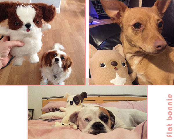 Custom Dog stuffed animal - Plush clone of your puppy - Multi-Color - Plush Stuffed Animal - Flat Bonnie - 4