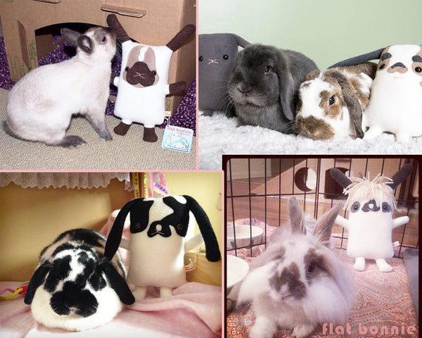 Custom Bunny stuffed animal - Plush clone of your bunny rabbit - Plush Stuffed Animal - Flat Bonnie - 3